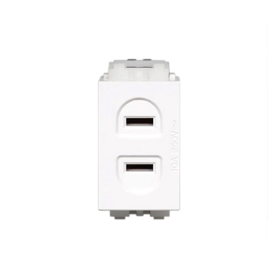 128型 二孔電源模塊 二孔插座 二插座強(qiáng)電模塊可配開(kāi)關(guān)面板和地插 占1個(gè)模塊位